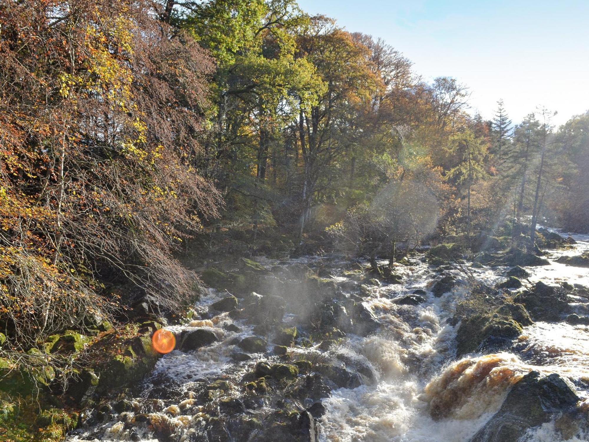Toll Bridge Lodge Banchory Eksteriør billede