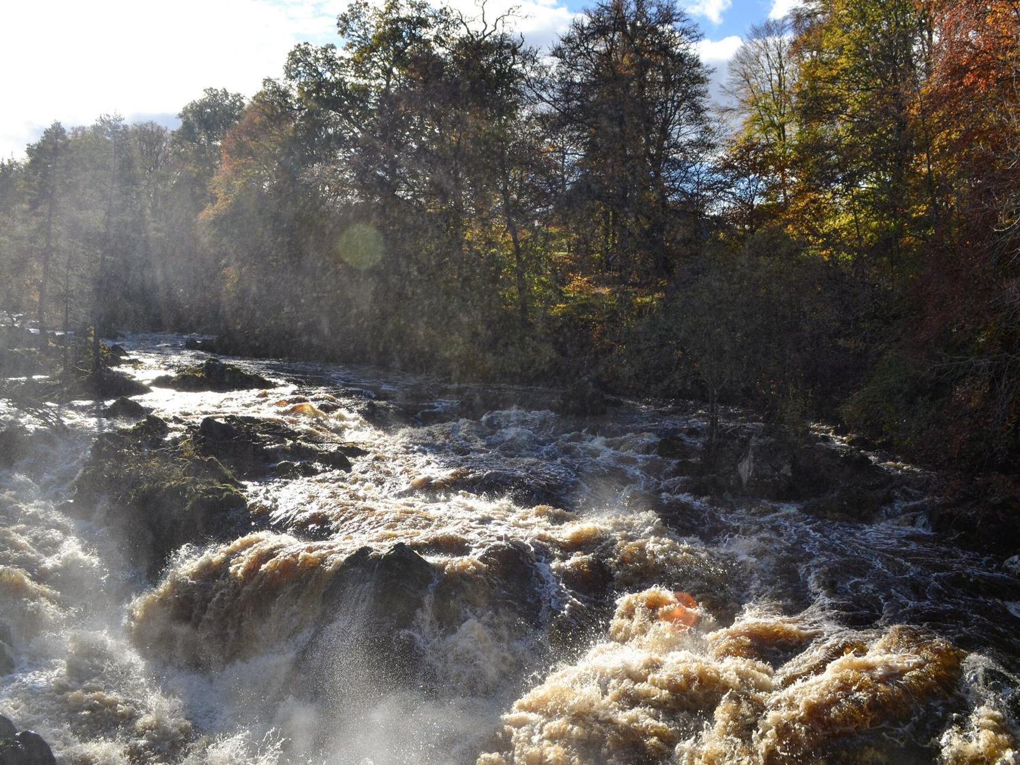 Toll Bridge Lodge Banchory Eksteriør billede