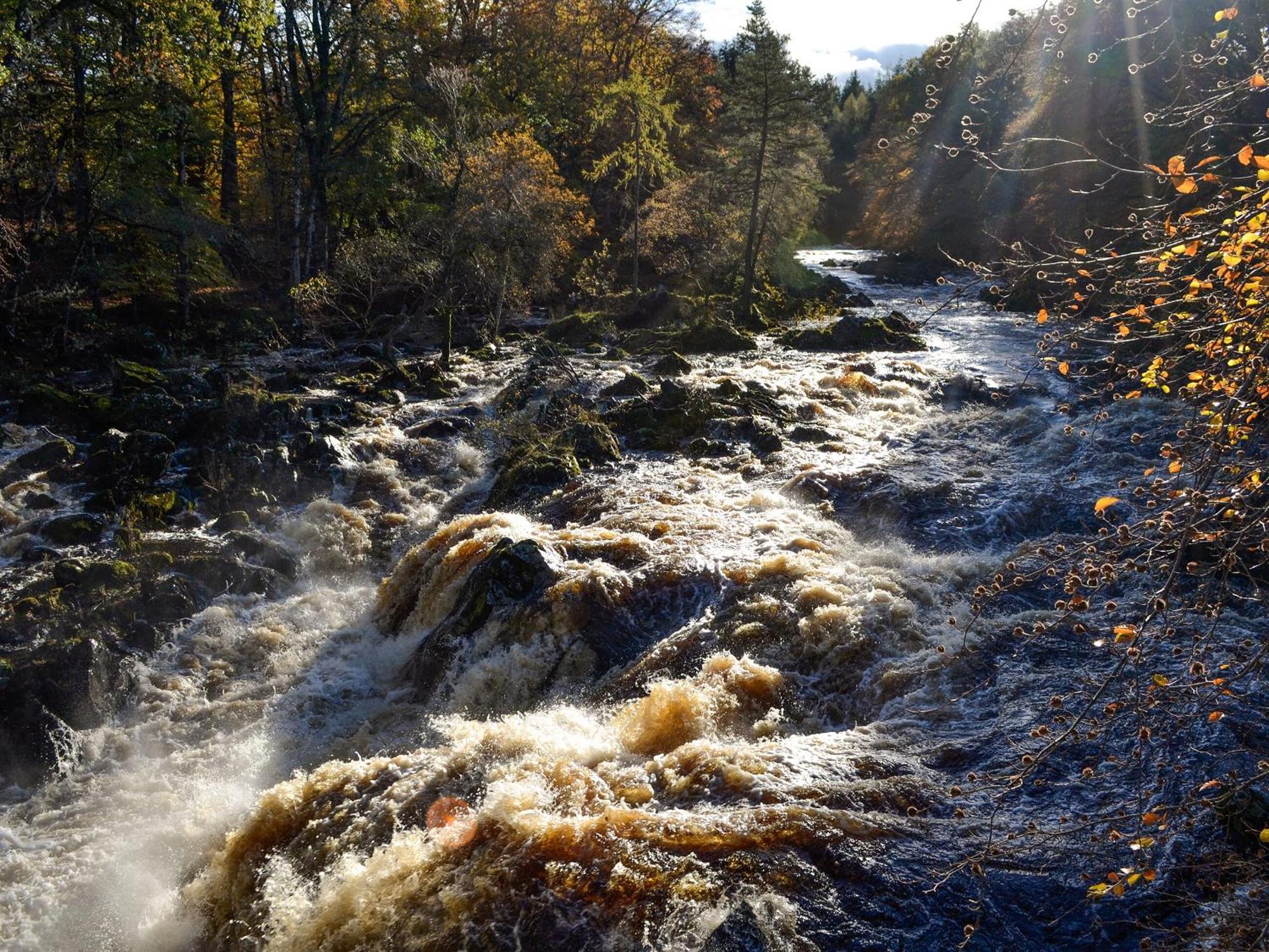 Toll Bridge Lodge Banchory Eksteriør billede